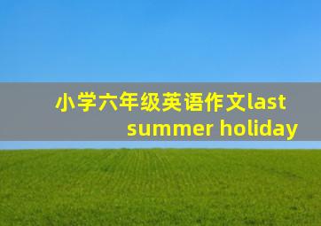 小学六年级英语作文last summer holiday